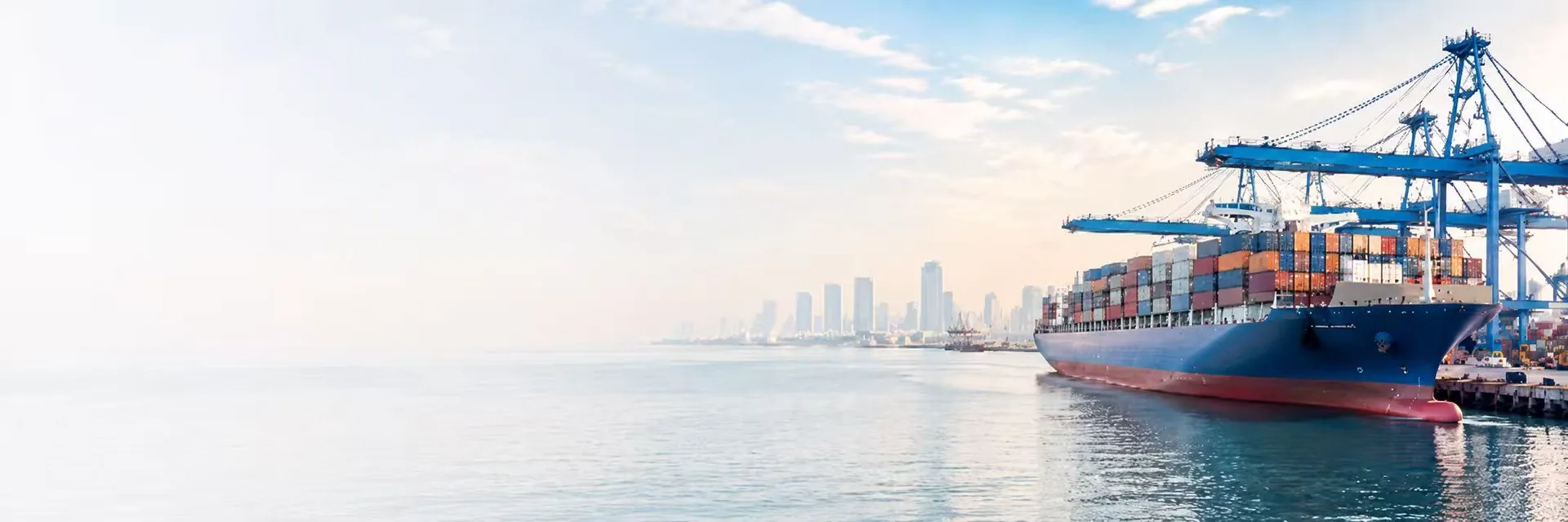 Shipping & Logistics Coordination